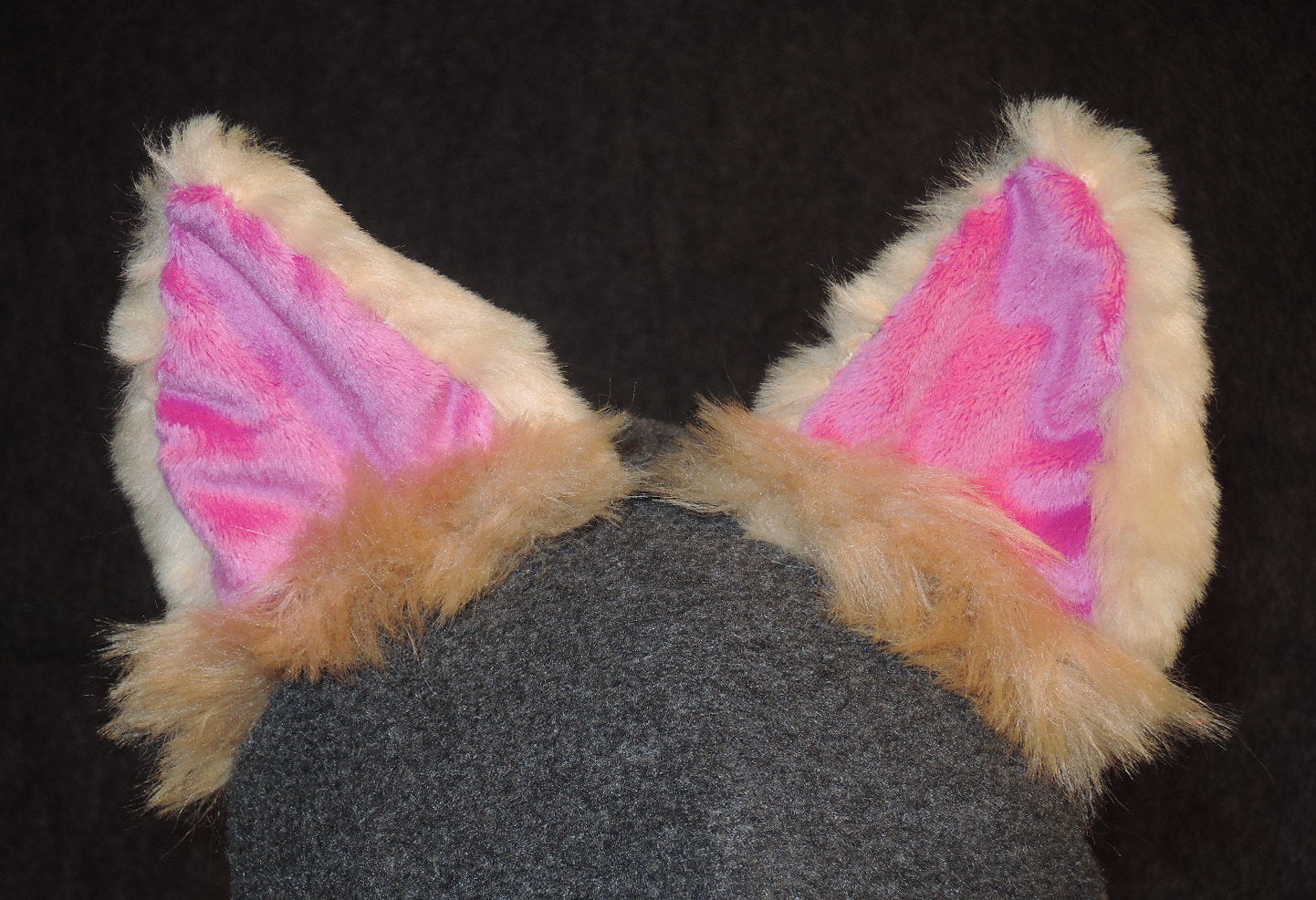 Custom Ears