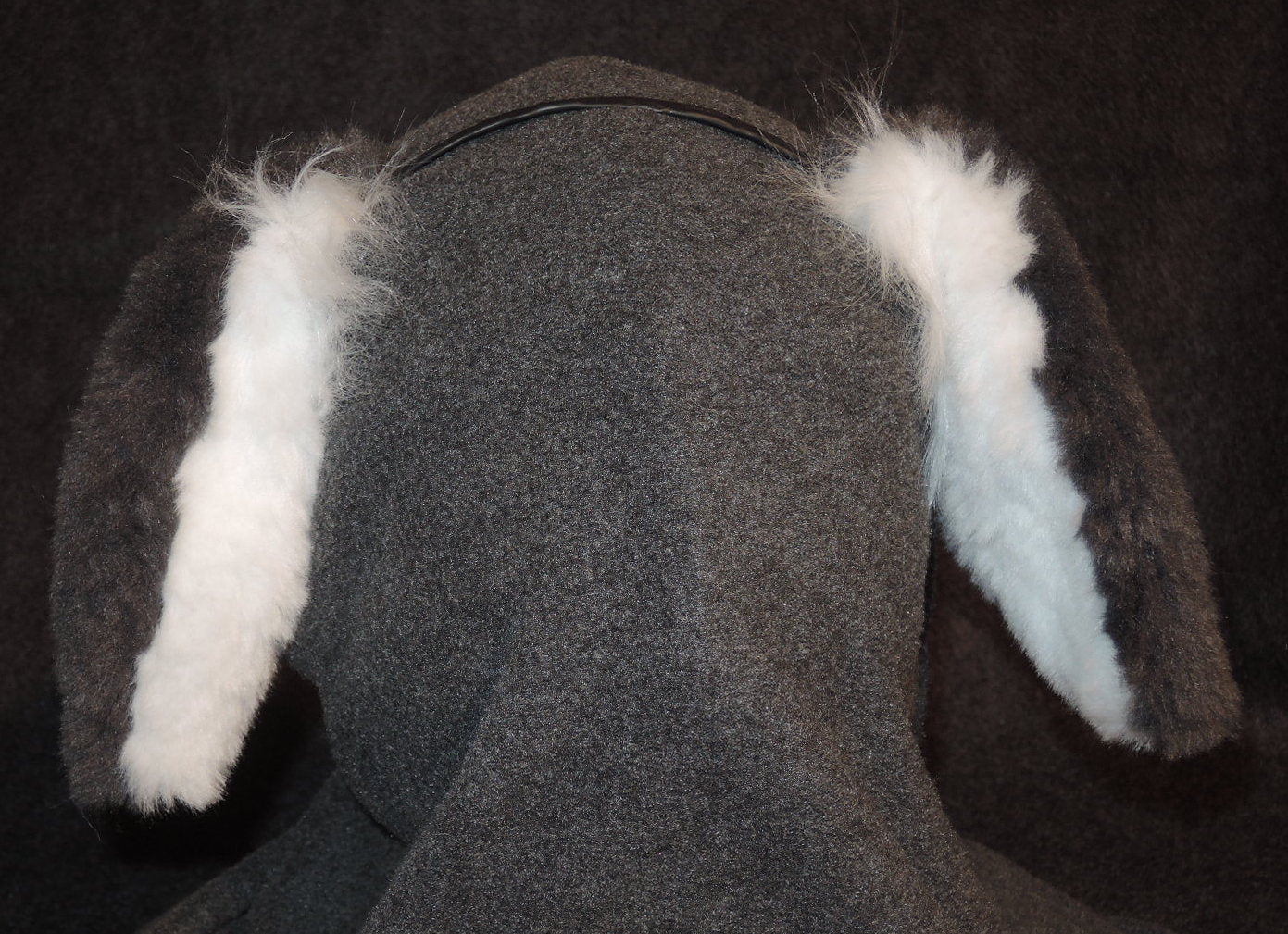 Custom Ears