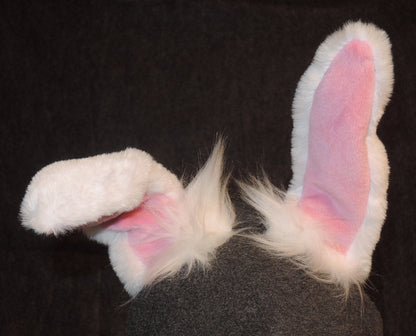 Custom Ears
